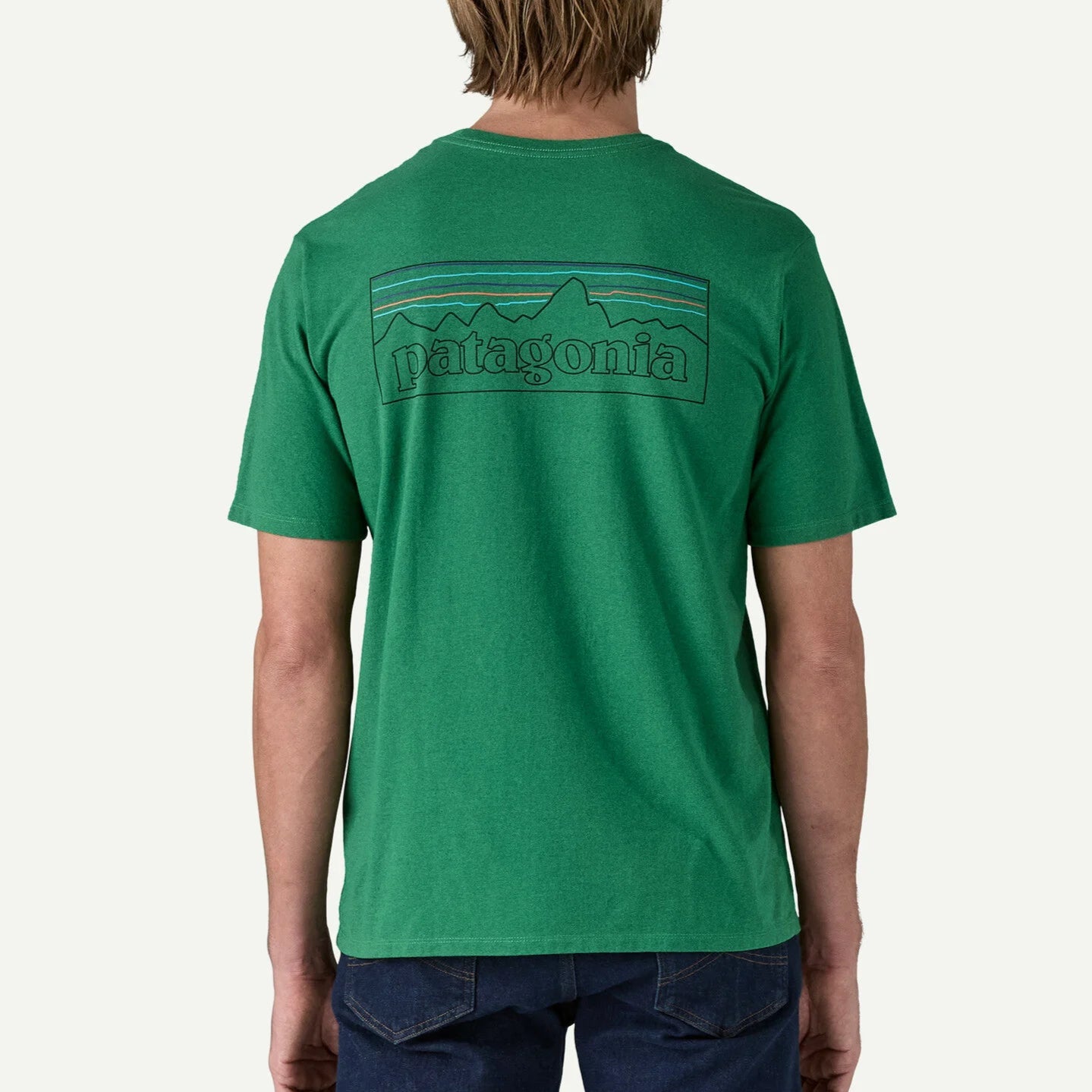 Patagonia P-6 Logo Responsibili-Tee® back view