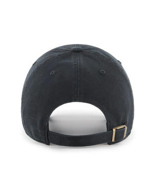 New York Yankees Metallic Clean Up