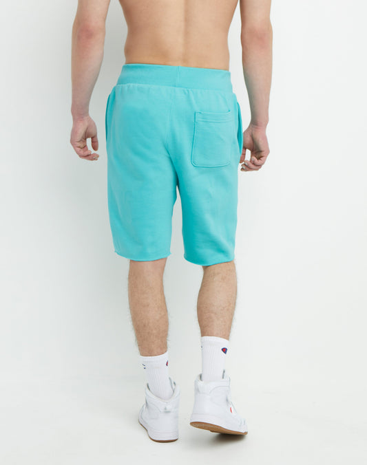 C Shadow 10" Reverse Weave Shorts back view