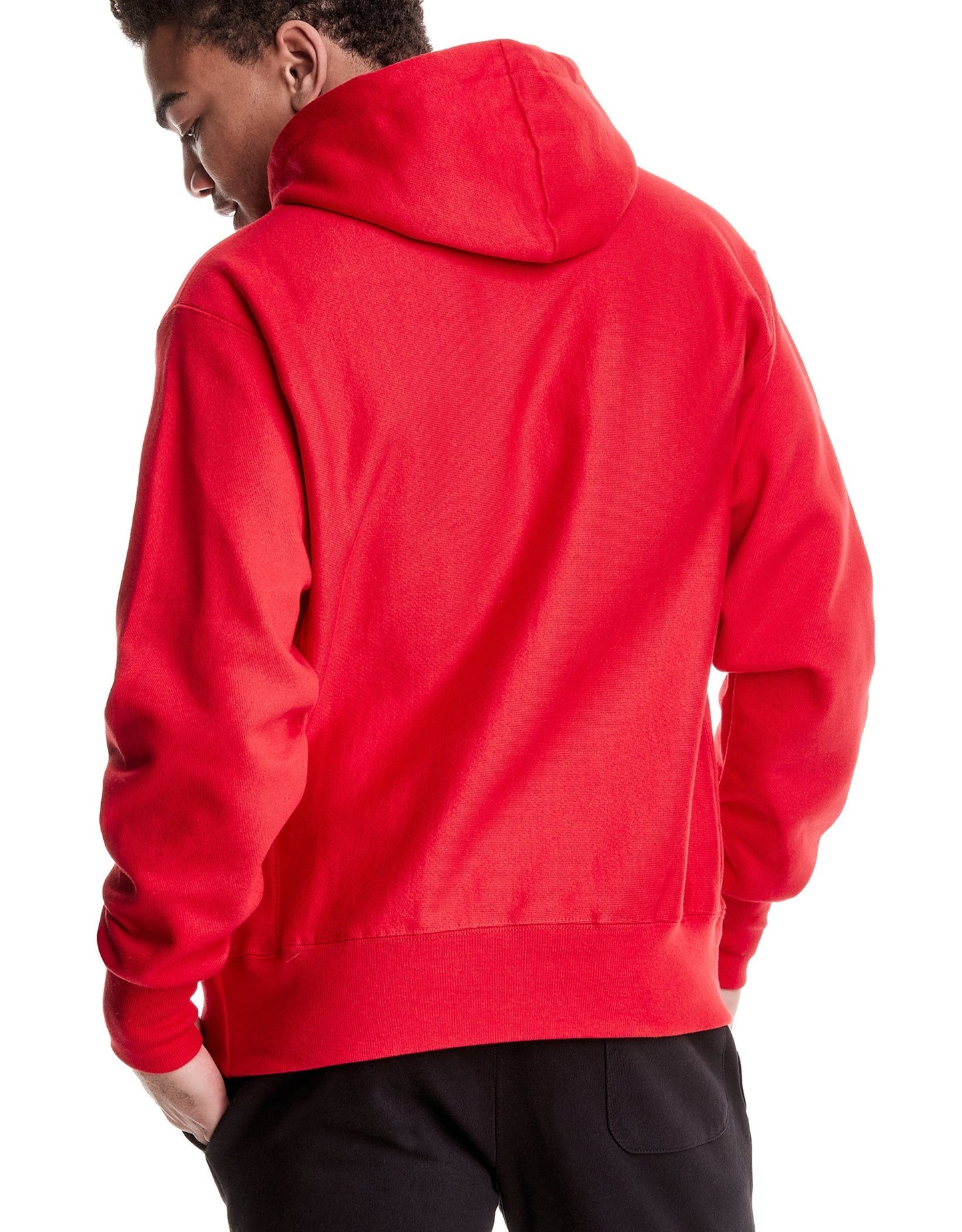 Men's Sprawling Tiger Reverse Weave Hoodie back view