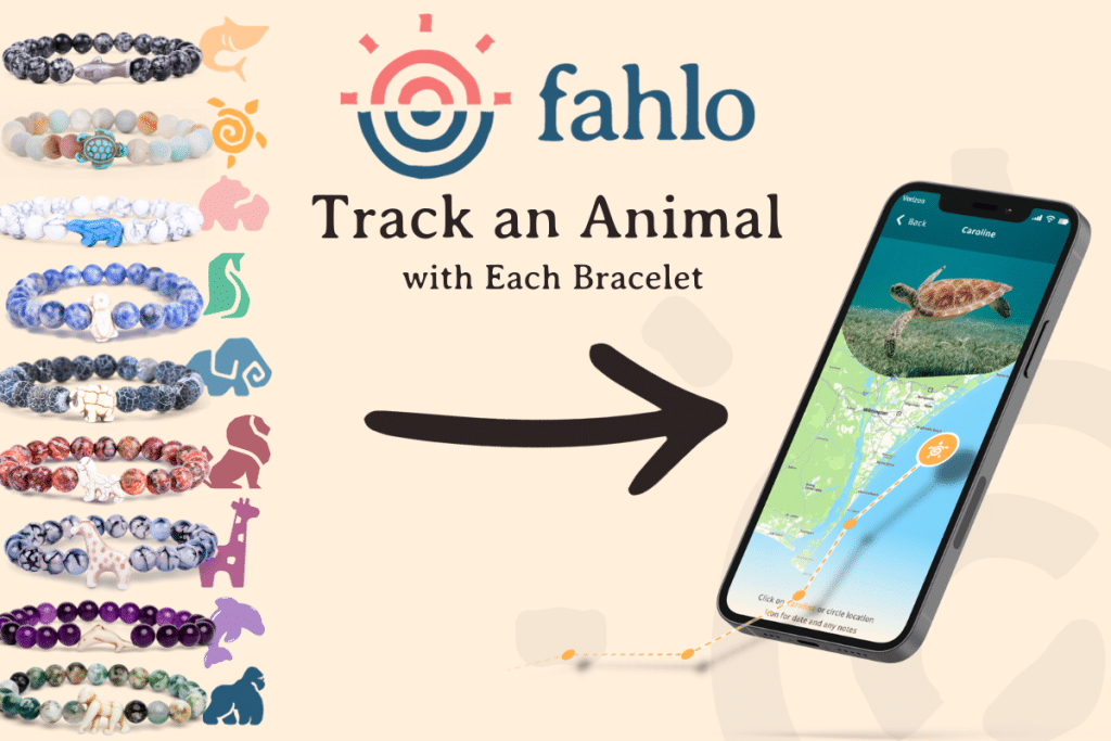 Fahlo Animal Tracking Bracelets | Epic Outfitters – Wear Your Wild Side
