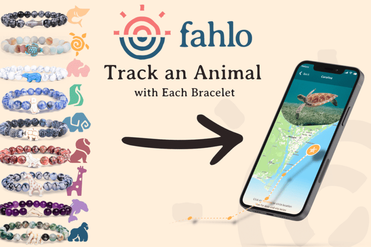 Fahlo Animal Tracking Bracelets | Epic Outfitters – Wear Your Wild Side