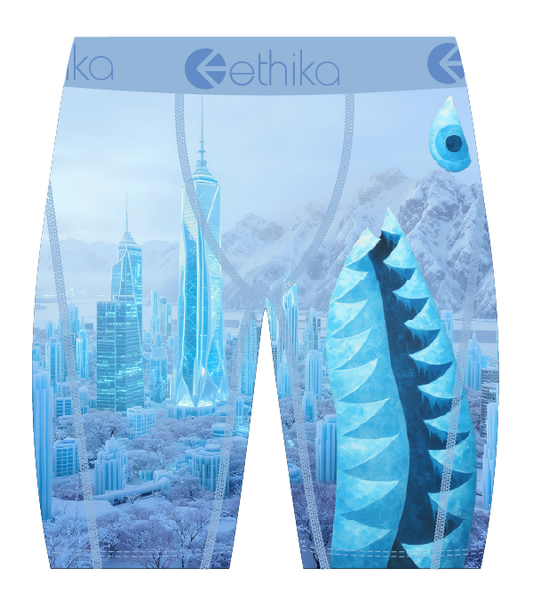 Ethika BMR City Of Stillness Boxers