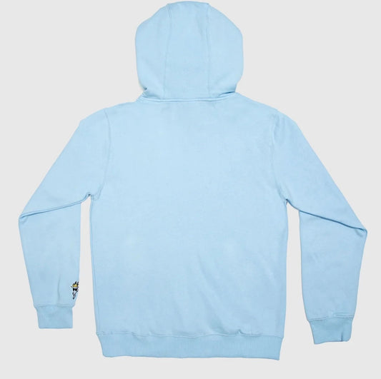 blue goat usa hoodie back