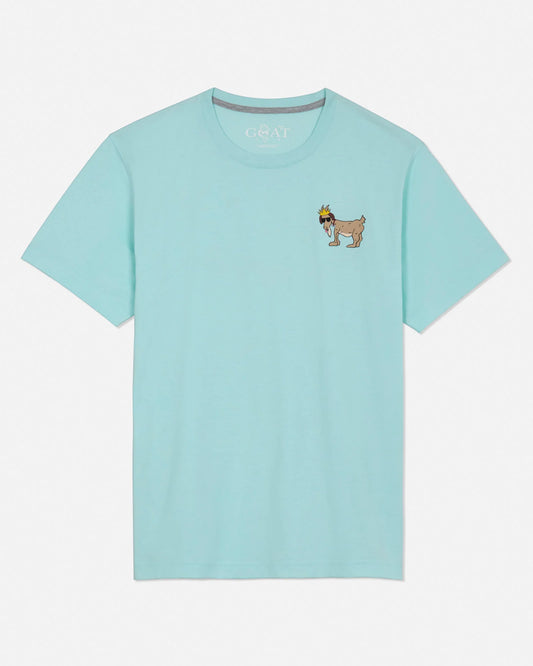 Light blue t-shirt with a small graphic on a white background