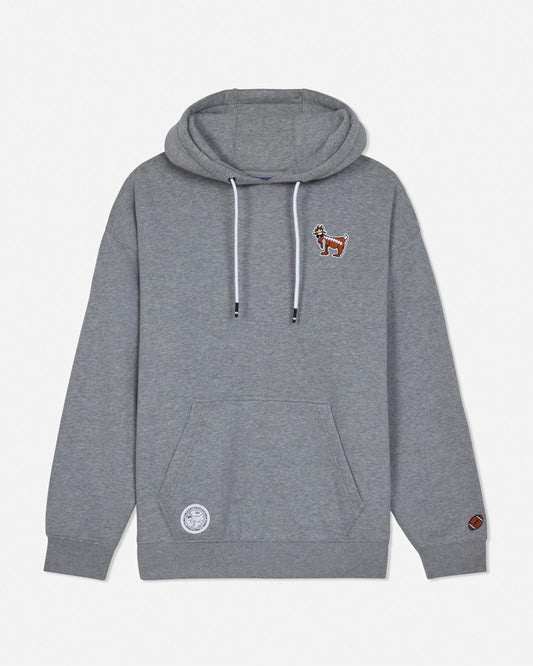 Gray hoodie with small embroidered designs on a light gray background