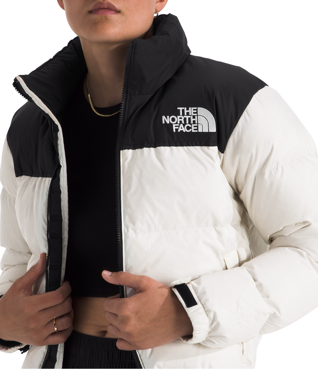 Person wearing a black and white The North Face jacket on a white background