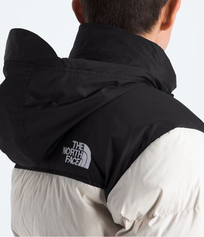 Person wearing a black North Face jacket on a white background