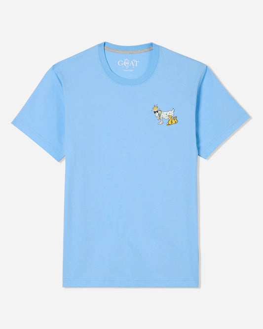 Light blue t-shirt with a small graphic on the chest against a white background
