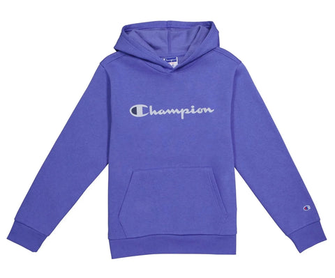 Champion hoodie deals big kids