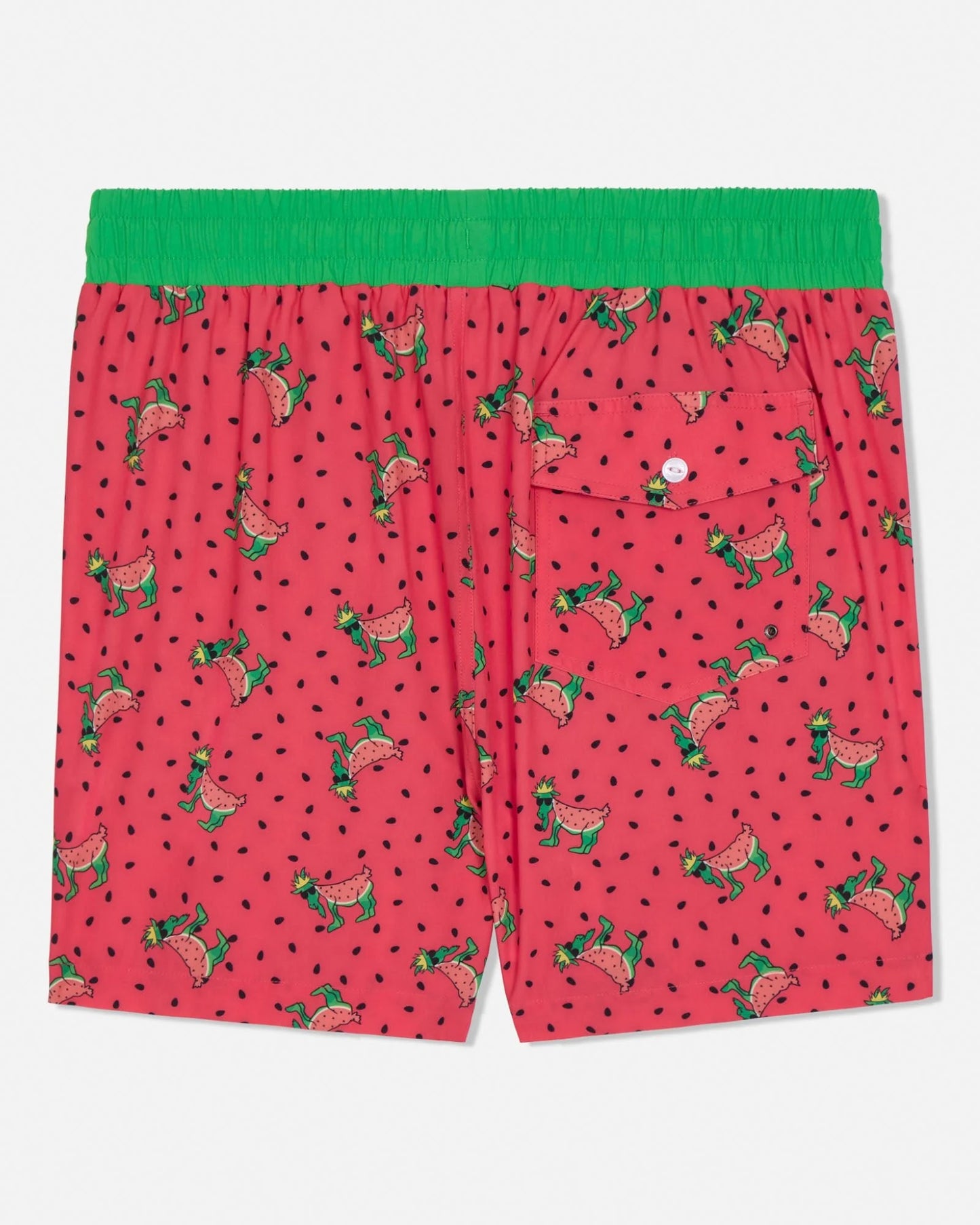 GOAT USA Watermelon Bathing Suit back view