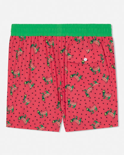 GOAT USA Watermelon Bathing Suit back view