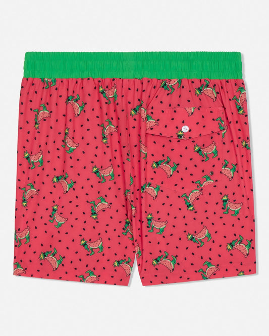 GOAT USA Watermelon Bathing Suit back view