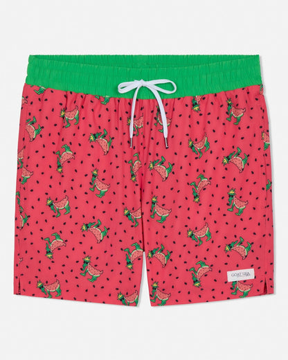 GOAT USA Watermelon Bathing Suit front view