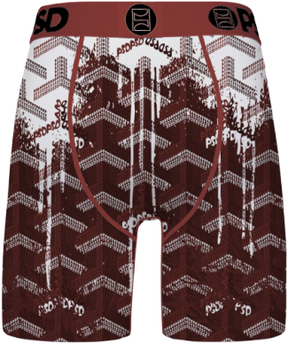 PSD WF Lavish Men's Boxers back