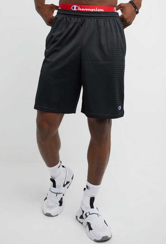 9in Mesh Short
