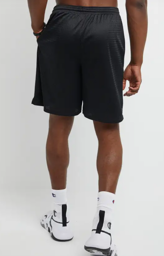 9in Mesh Short